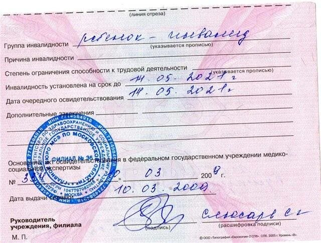 Группы инвалидности. Справка об инвалидности 1 группы. 3 Группа инвалидности. 2 Группа инвалидности. Инвалид 1 группы ограничения