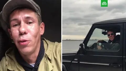 Видео шпака с паниным