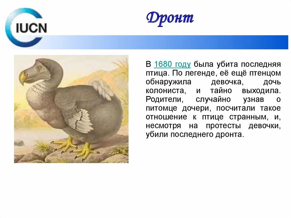 Почему вымерли додо