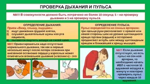 Какое дыхание должно быть в минуту