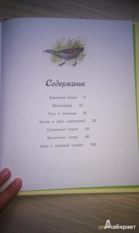 Рассказ стрижонок скрип читать. Стрижонок скрип план. План сказки Стрижонок скрип. План рассказа Стрижонок скрип. Астафьев Стрижонок скрип план.