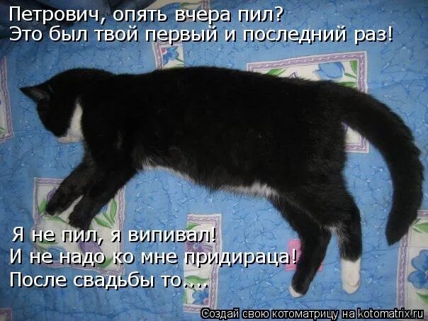 В недрах тундры выдры в гетрах тырят. Анекдот пол еще не высох. Пил не просыхая. В недрах выдры тырят вёдра ядра. Пил не просыхая.