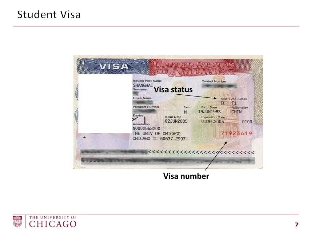 В шанхай нужна виза для россиян 2024. Visa number. Us visa number. USA visa number where. Visa status.