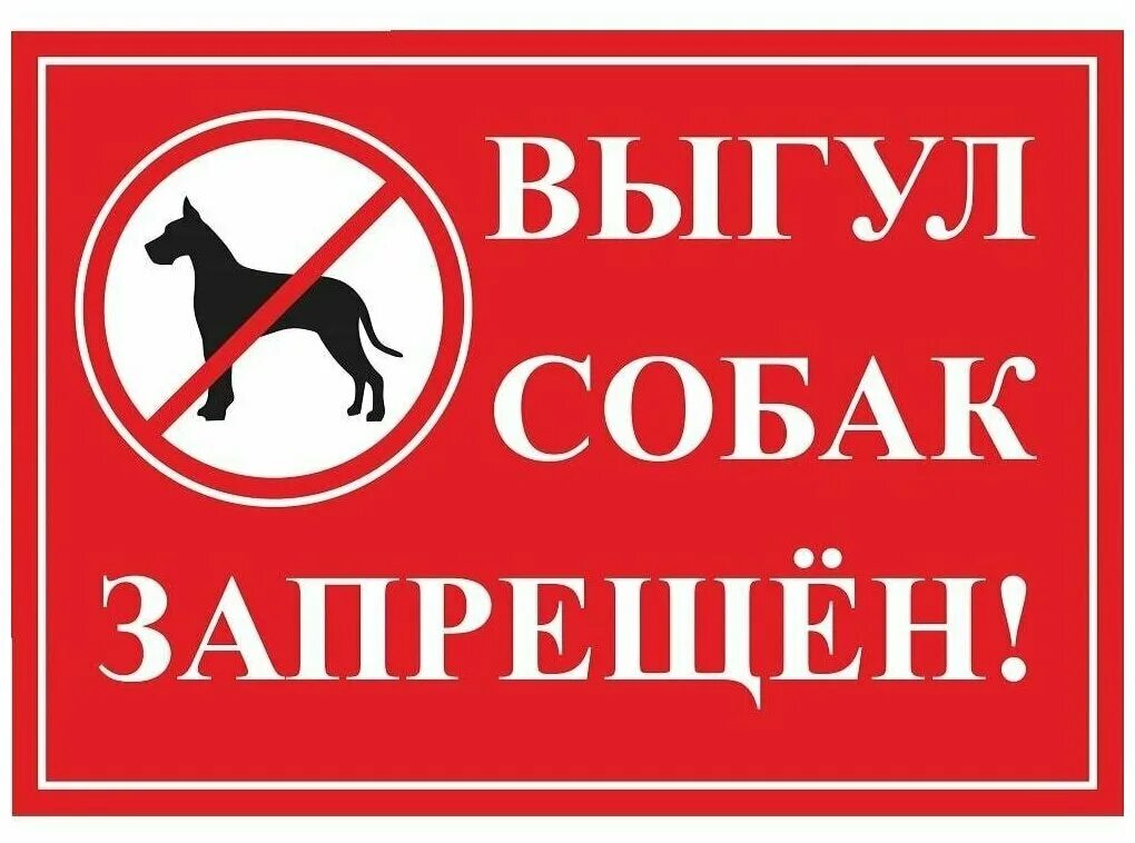 Выгул собак запрещен штраф 5000. Выгул собак 2024. Выгульщик собак. Выгульщик собак. Выгульщик собак.