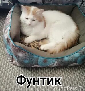 Ездить воскресенье