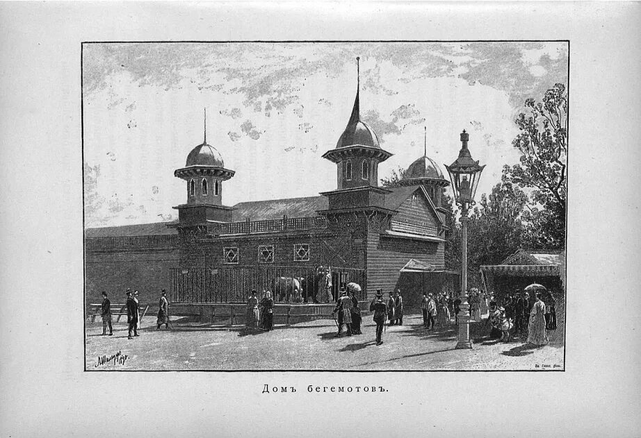 Кем был организован московский зоосад 19 века. 1865 — в санкт-петербурге открыт зоологический сад.. 14 августа 1865 года в санкт-петербурге открыт зоологический сад. московский зоологический сад 19 век. зоологический сад в санкт-петербурге в 19 веке.