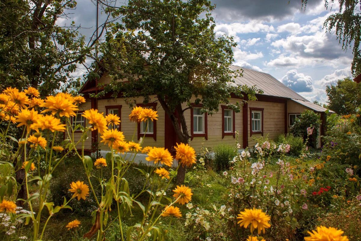 Деревня темпы. Деревня темп. Деревня берег тверская область. Купить квартиру в темпах талдомского района. Паскино (кимрский район).