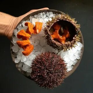 Вкус ежа