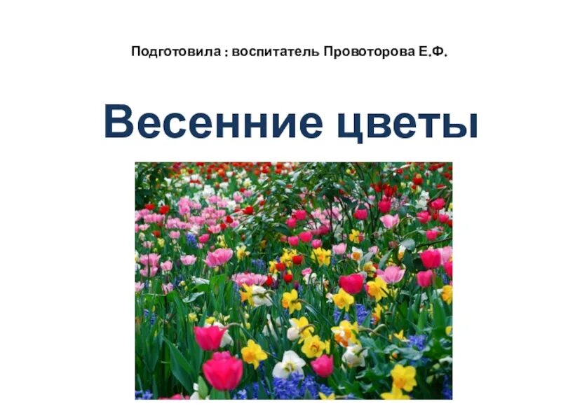 Чудесные цветники весной 2 класс. Растения весенних цветников 2 класс. Чудесные цветники. Растения весенних цветников 2 класс. Чудесные цветники весной 2 класс перспектива.