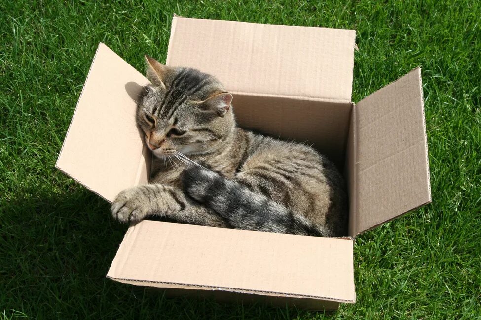 Looking out of the box