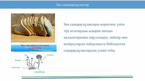 Порно: Жігіттің соратын үлкен сиськи