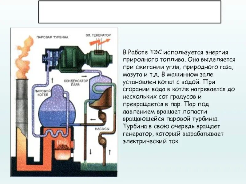 Схема работы тепловой электростанции. Тепловая электростанция принцип работы. Принцип работы ТЭС. Сжигание угля на ТЭС. Назовите виды природного топлива для сжигания