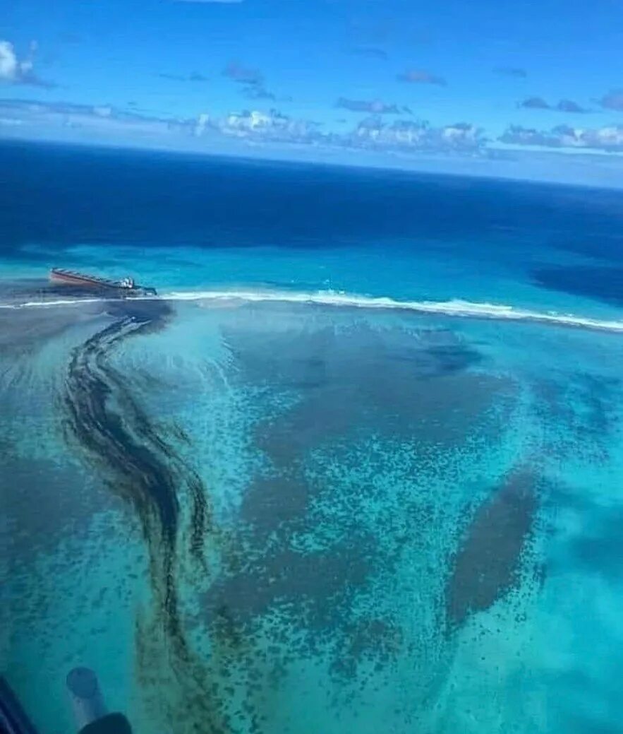 Мауритиус остров. Маврикий остров. Индийский океан Маврикий. Маврикий экологическая катастрофа.