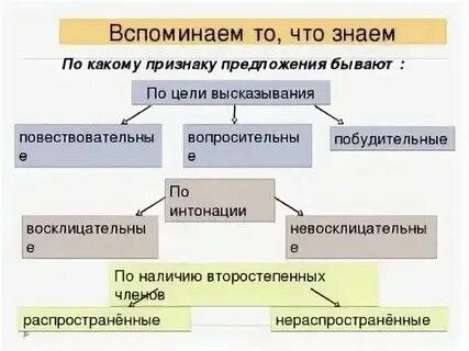 Цель предложения что это