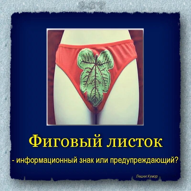 Шесть соток для робинзона читать онлайн бесплатно полностью. Иронический детектив авторы. Донцова фиговый листочек. Полное собрание сочинений донцовой. Дарья донцова голая.