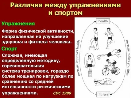 Сходства и различие физической культуры