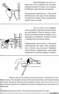 Виды упражнений на гимнастическом коне