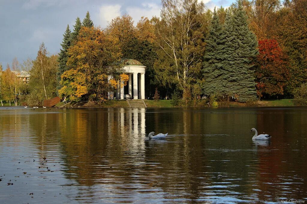 Парки на островах в санкт петербурге. Парки на островах в санкт петербурге. Парки на островах в санкт петербурге. Елагин остров крестовский. Елагин остров в санкт-петербурге центральный парк.