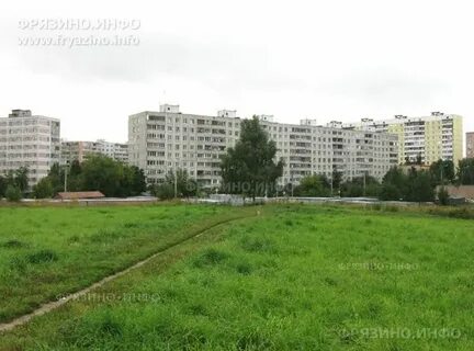 Лесной фрязино отзывы