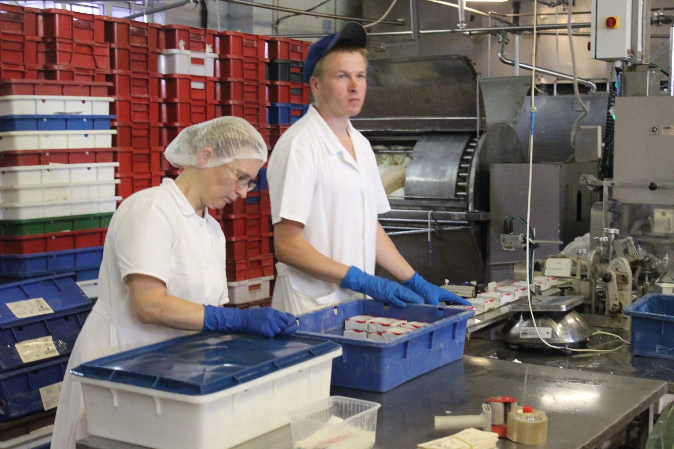 Олонецкий молочный комбинат продукция. Комбинат олонецкая. Комбинат олонецкая. Олонецкий молочный комбинат видео. Олонецкий молокозавод.