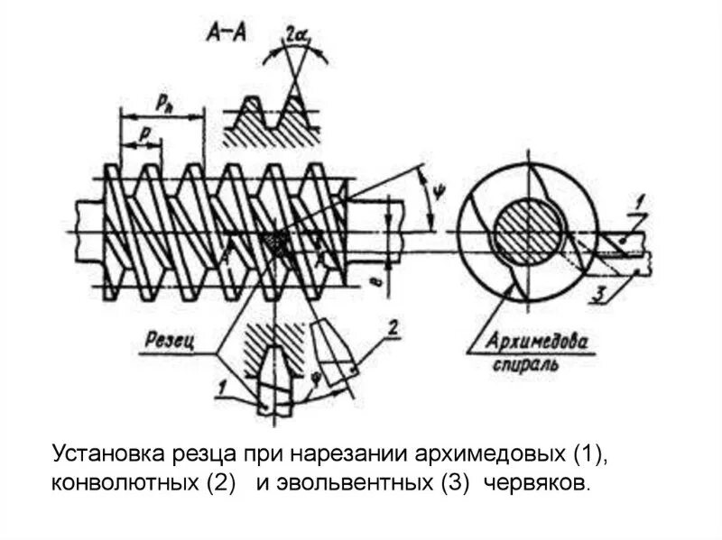 Профиль червяка. Червячная передача с гипоидным червяком. Профиль резьбы червяка. Червяк резьба. Модульная резьба на токарном станке 16к20.