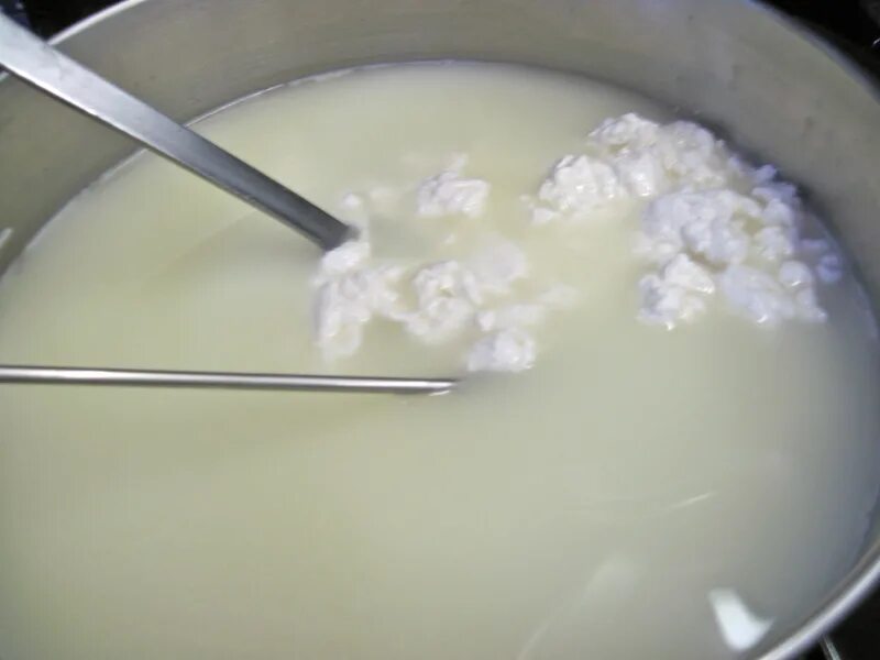 Рецепт домашнего творога из кислого молока. Приготовление творога. Варка творога. Створоженное молоко. Поэтапное приготовление творога.