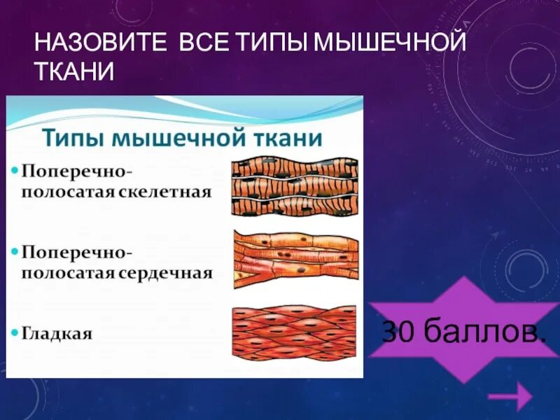 Назовите функции мышц. Поперечно полосатая Скелетная особенности строения. Функция поперечнополосатой мышечной ткани. Характеристика поперечно полосатой мышечной ткани человека. Поперечно полосатая мышечная ткань строение и функции.