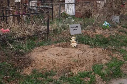 Покажи могилу