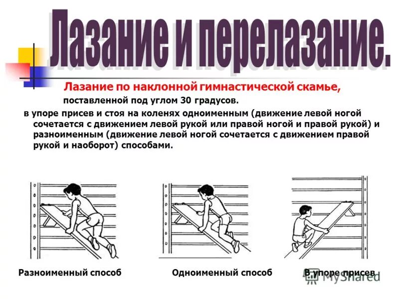 лазание разноименным способом. виды равновесия в физкультуре. упражнения на гимнастической стенке. одноименное движение. стойка в физре общеразвивающие упражнения.