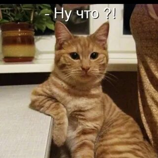 Давай выложи