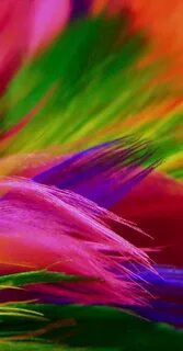 Des couleurs
