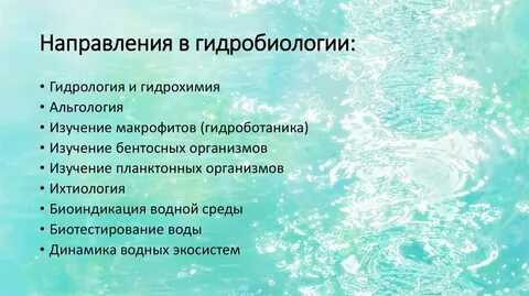 Альгология это