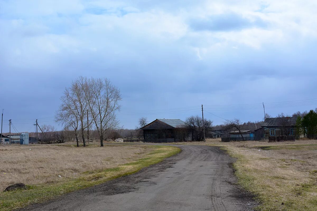 Деревня межлесье шумихинский район. Деревня деревенька тверская область. Поселок русская деревня. Кимжа мезенский район архангельская область. Заброшенные деревни вологодской области.