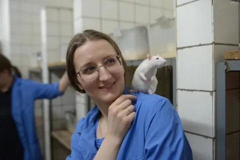 Ран биологии