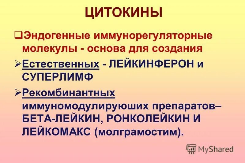 Функциональная активность клетки