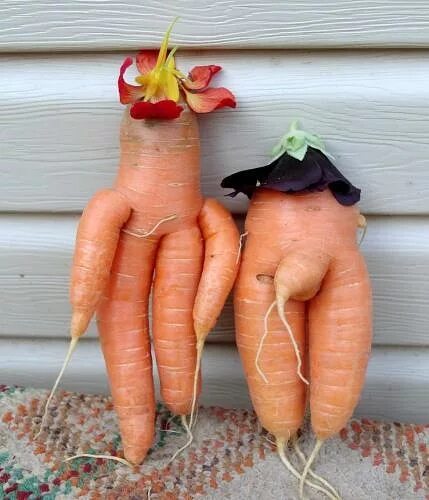 Прикольная морковка. Поделка морковка. Смешные овощи и фрукты. Страшная морковка.