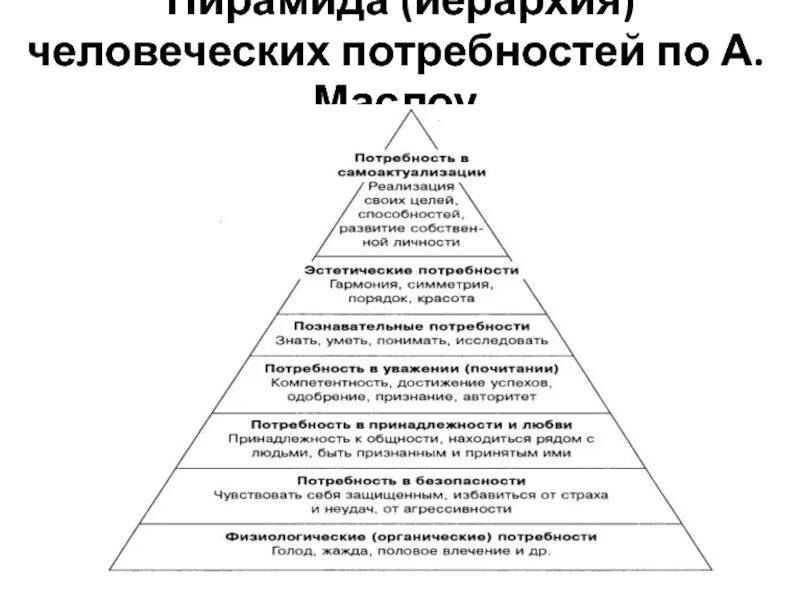 Проект информационное общество и эволюция человеческих потребностей. Проект информационное общество и эволюция человеческих потребностей