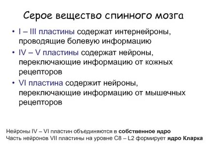 Образование серого вещества