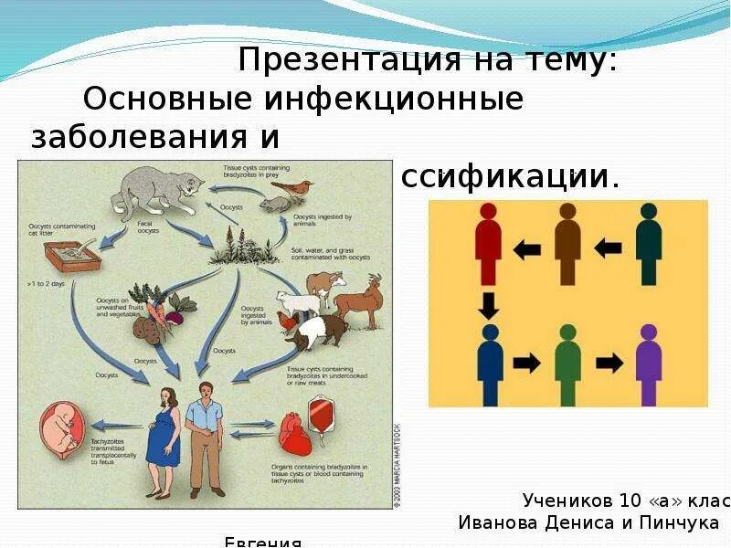 Тема инфекционные заболевания. Инфекционные болезни классификация и профилактика. Основные инфекционные заболевания и их классификация. Основные пути заражения инфекционными заболеваниями. Основные инфекционные болезни их классификация.