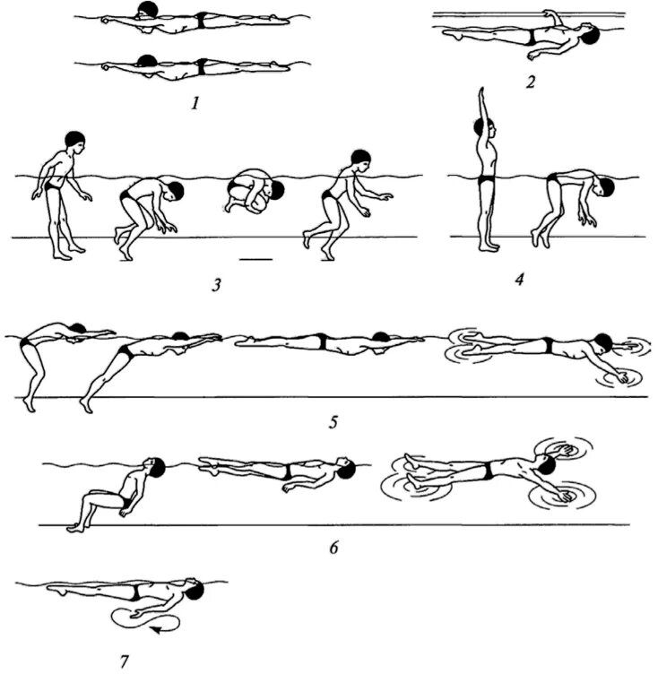 Обучение плаванию начинающих. Упражнения на суше для плавания кролем. Упражнения Кифута для кроля. Упражнения ОФП для пловцов. Упражнения для разминки перед плаванием в бассейне для детей 6-7.