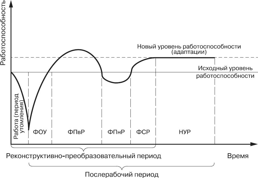 Фазы изменения работоспособности. Укажите основные фазы работоспособности в течение дня. Схема динамики работоспособности. Фазы динамики работоспособности. Изменение физической работоспособности