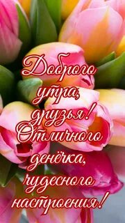 Радости в придачу