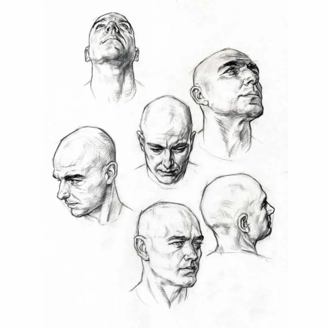 голова ракурс снизу референс. рисовать ракурс головы. голова сзади референс. рисовать ракурс головы. человеческая голова ракурсы.