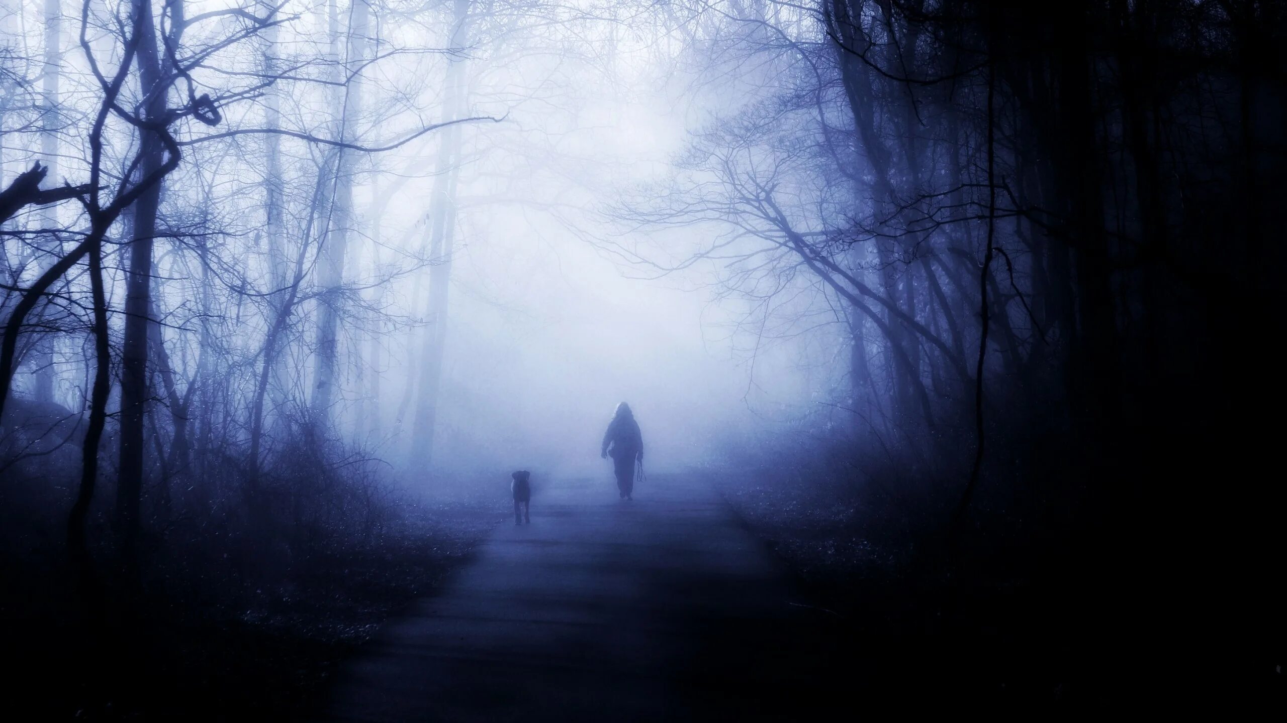 Прогулка в лесу на закате. Окно сумрак. Старики уходят в небо. Человек в туманном лесу. Возвращение в сумрак.