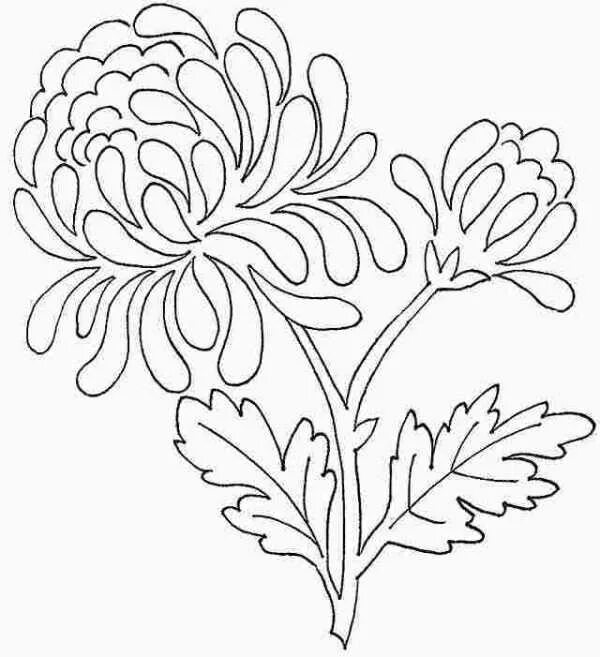 Вытынанка цветы. Вытынанки цветы шаблоны для вырезания. Цветы на окна трафареты. Вытынанка. Вытынанки цветы шаблоны для вырезания.