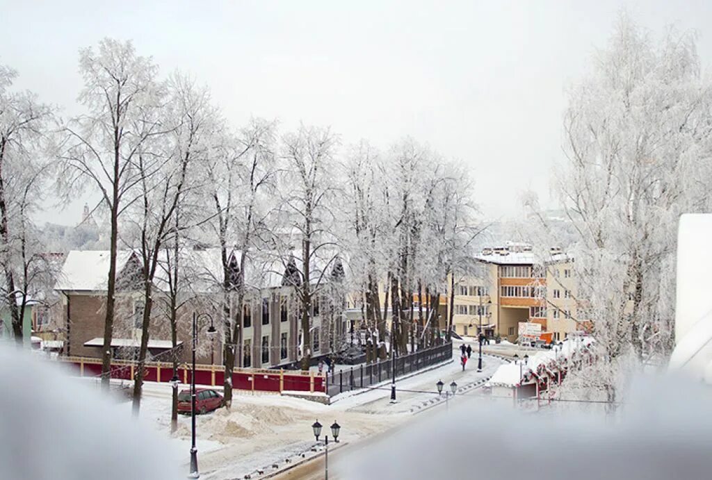 Погода в березняках московская область. Березняки сергиев посад. Снт березняк. Погода в березняках московская область. Погода в березняках московская область.