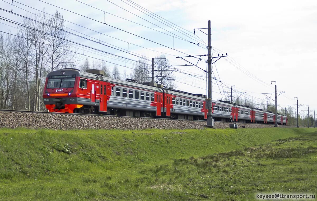 пригородные поезда петербурга. северо-западная пригородная пассажирская компания (сзппк). поезд санкт-петербург. электрички в петербурге. электрички санкт-петербург.