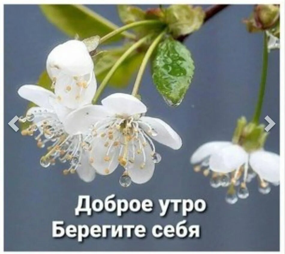 Доброе утро берегите всех