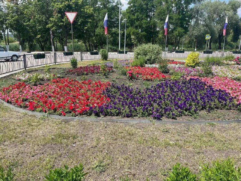 цветы шебекино. московская 8 шебекино. цветы шебекино. ленина 40 шебекино. Bouquet story инстаграм.