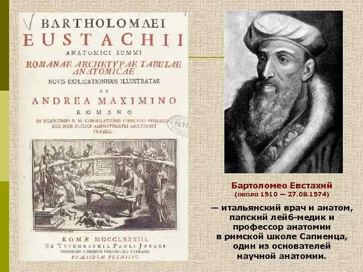 Евстахий. Евстахий(1510—1574). бартоломео евстахий открытия. евстахий вклад в анатомию. бартоломео евстахий вклад.
